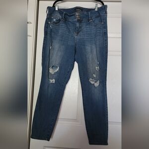 Torrid Blue Jeggings with Stylish Distressing